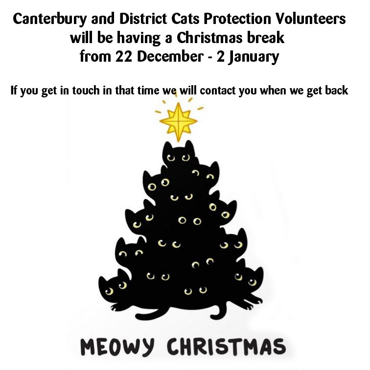 Meowy Christmas